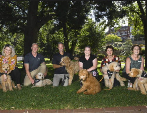 Five Bendigo schools welcome new Dogs Connect pups