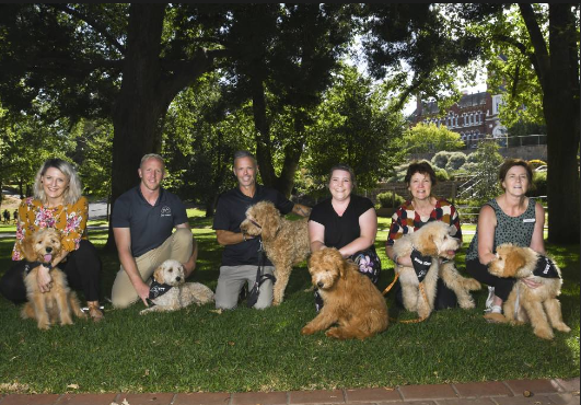 Five Bendigo Schools welcome new dogs connect pups
