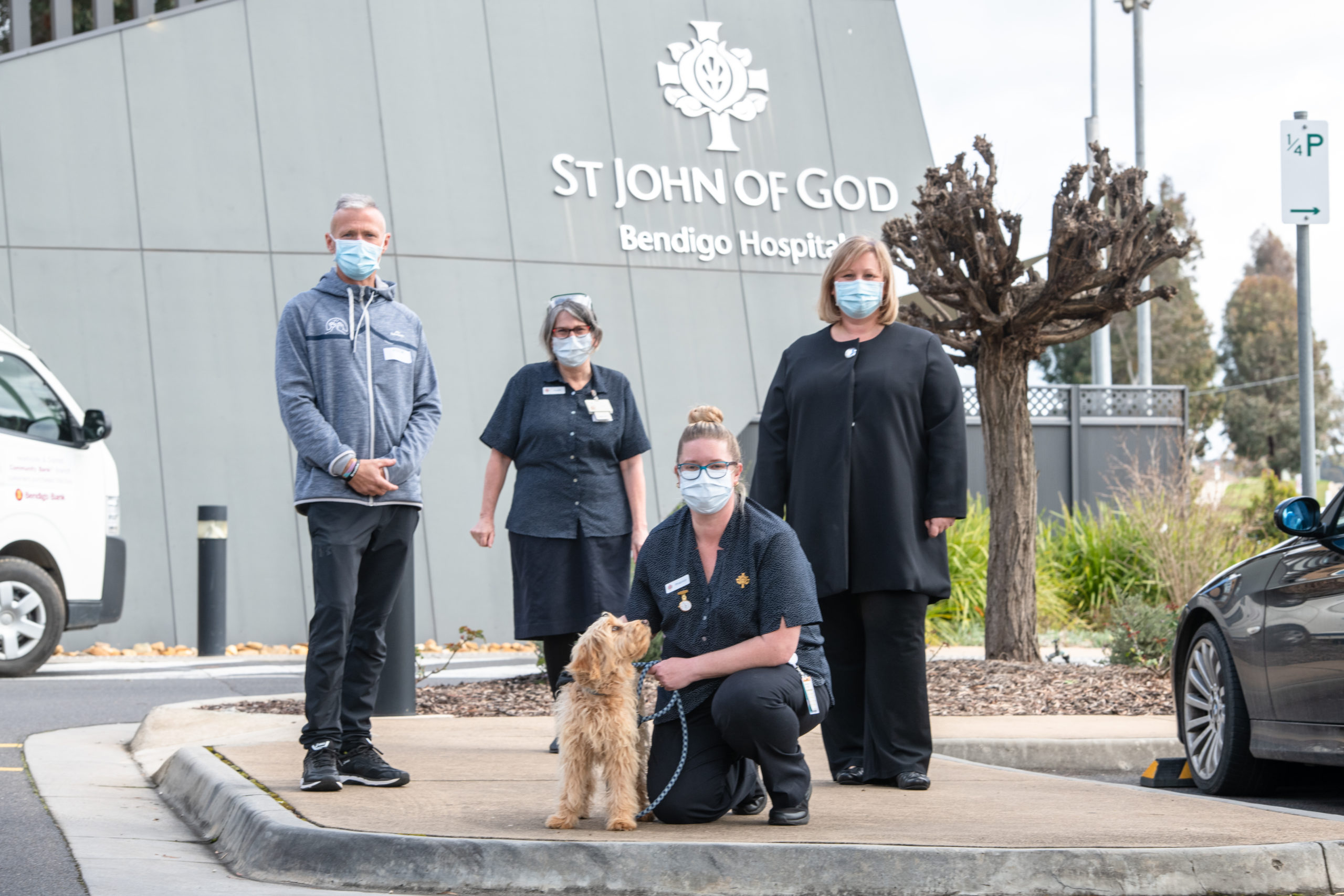 St John of God Bendigo Hospital welcomes Rose their wellbeing dog