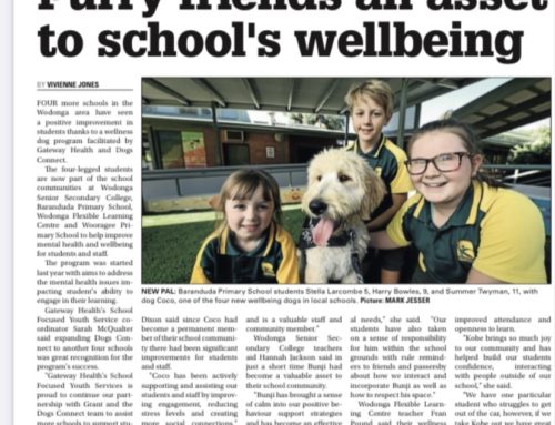 Furry friends an asset to school’s wellbeing – Border Mail