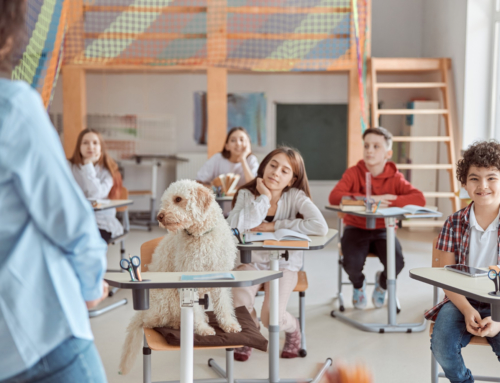 Unlocking the Benefits of Having Dogs in the Classroom