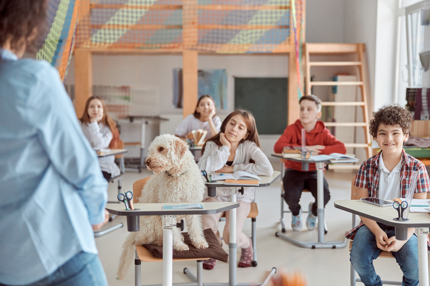 Kids with Dogs in Classroom