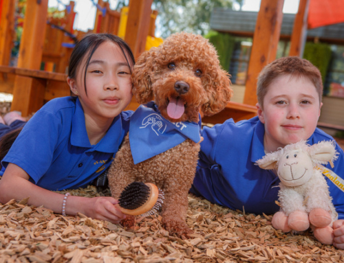 Friendly Freddie brings a calming lesson at St Anthony’s School