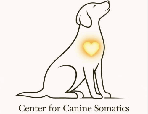 The Somatic Hound—Dogs Connect