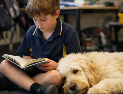 Reading the Room: How Wellbeing Dogs Read Classroom Energy